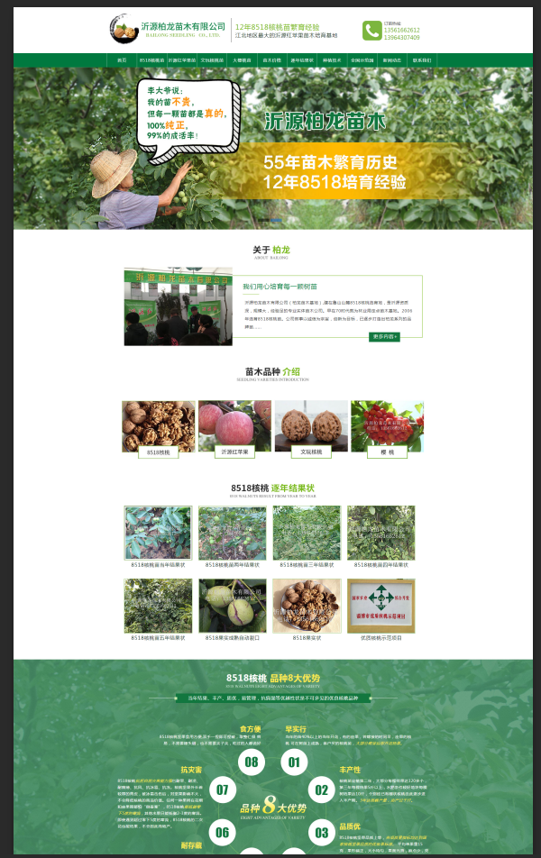 8518核桃苗_核桃苗批發價格_沂源紅蘋果樹苗_山東沂源柏龍苗木基地.png